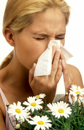 hay fever naturopathy gold coast 2